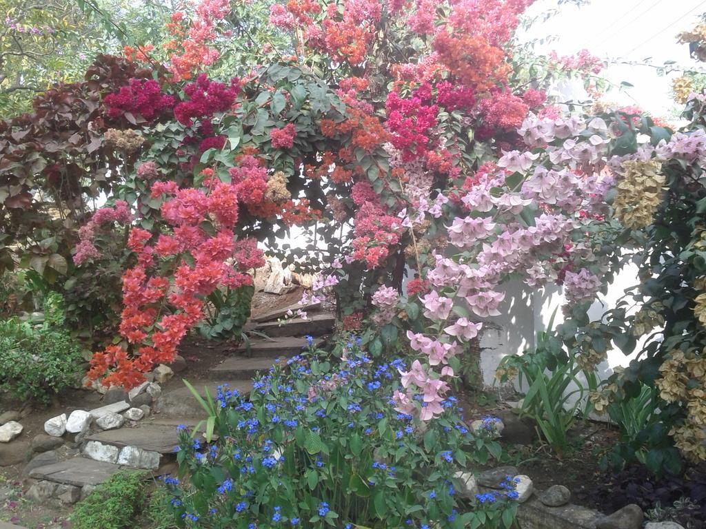 Jheelam Homestay Bhopal Zewnętrze zdjęcie