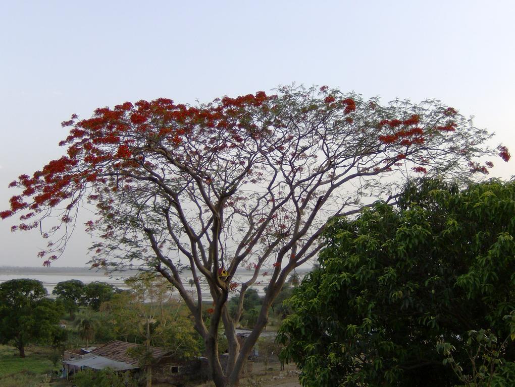 Jheelam Homestay Bhopal Zewnętrze zdjęcie