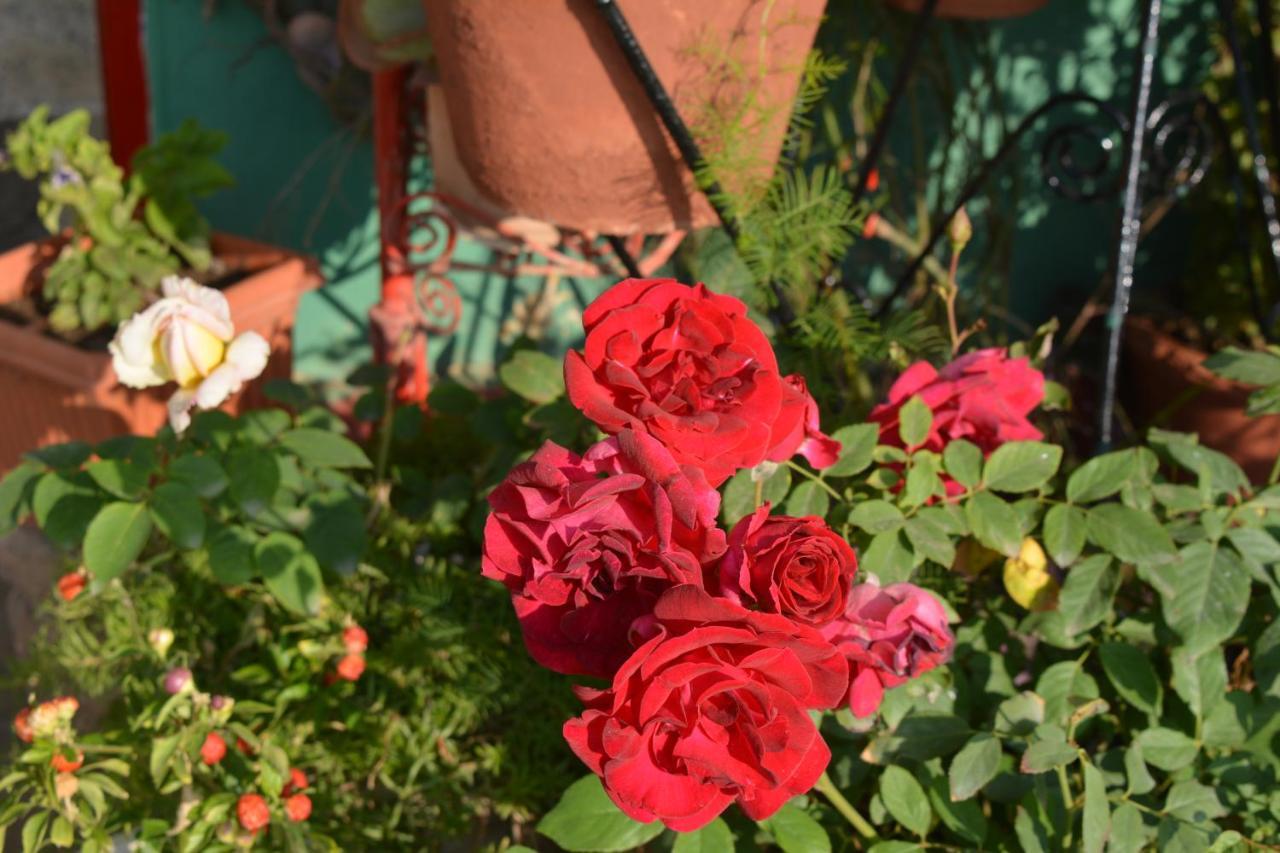 Jheelam Homestay Bhopal Zewnętrze zdjęcie